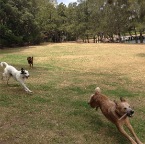 Wilbur, Brandy and Cody