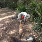 At the water bowl
