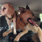 Mia and Wilbur