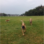 Mia, Scarlet and Wilbur