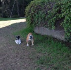 Lucy and Gomez