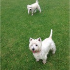 Bertie and Wilbur