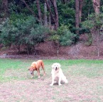 Lula and Hudson