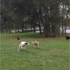 Brandy, Wilbur and Cody