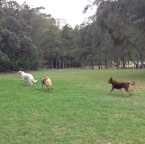 Cody, Wilbur and Brandy