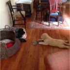 Pepper and Nelson