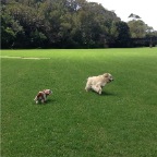 Jed and Hudson