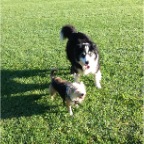 Sam and Millie