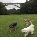 Sydney, Max and Jed