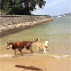 Muscat and Mia