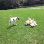 Hudson and Brandy