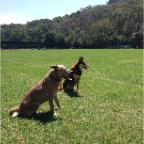 Wilbur and Muscat