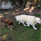 Muscat and Hudson