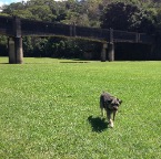 Sydney