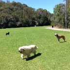 Hudson and Wilbur