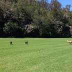 Cassie and Wilbur